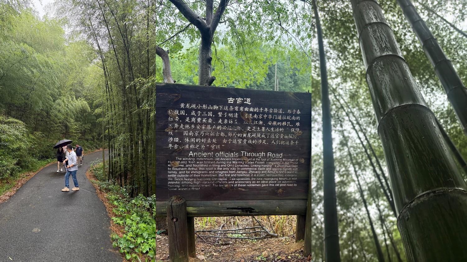 1750322200197828.jpg